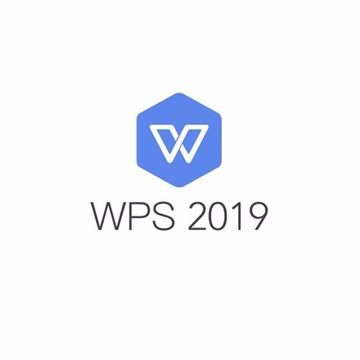 图片 WPS Office 2019 专业版办公软件（政府专用 一年服务，随机数量授权 ）